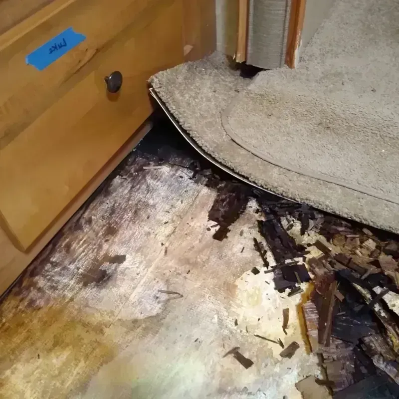 Wood Floor Water Damage in Gallipolis, OH